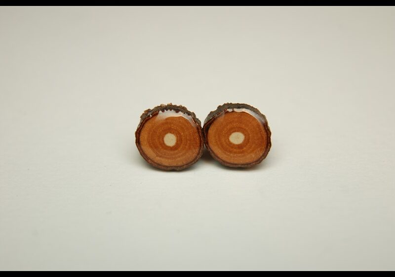 Kolczyki wkrętki drewniane z żywicą
