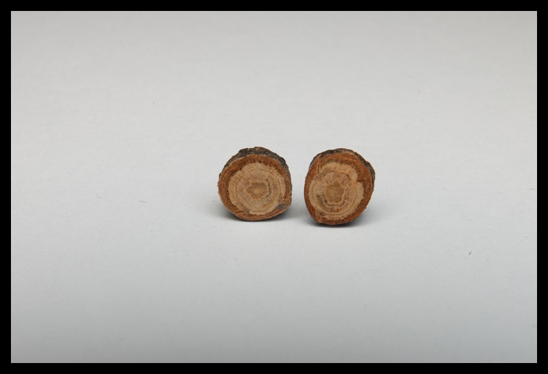 Kolczyki wkrętki drewniane