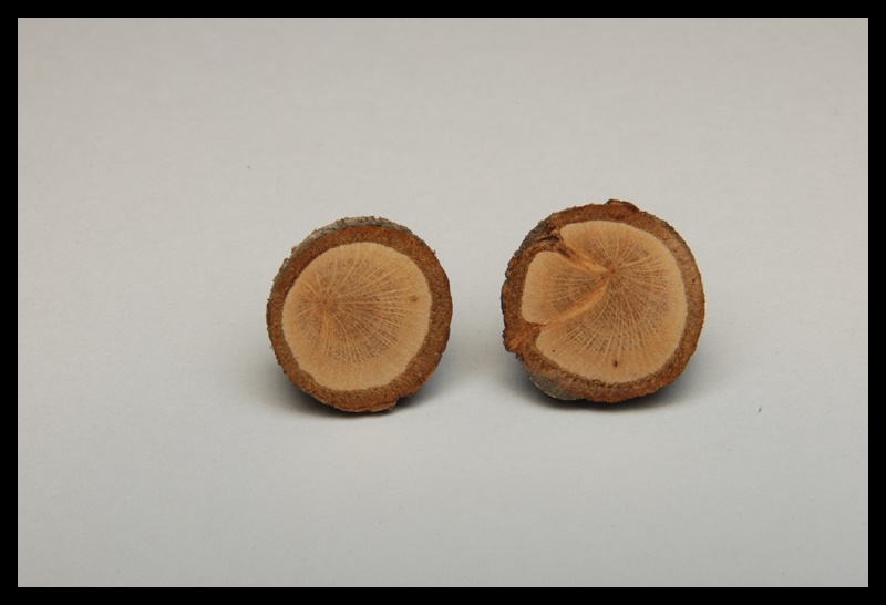 Kolczyki wkrętki drewniane