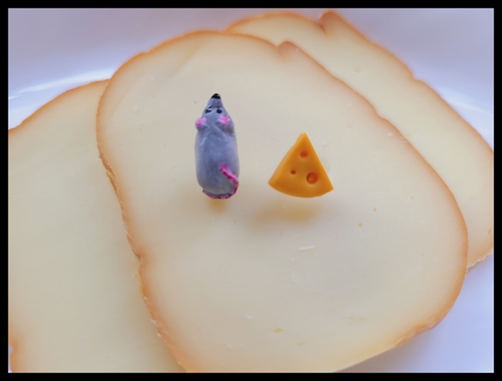 Kolczyki myszka z serem