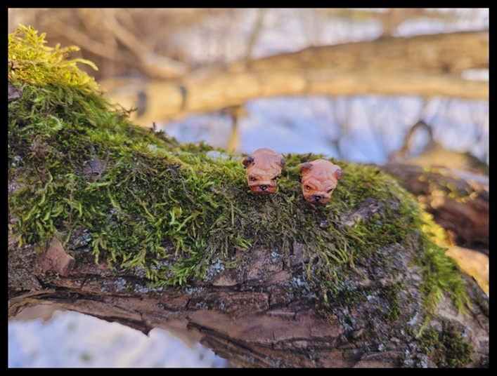 Kolczyki wkrętki buldogi angielskie
