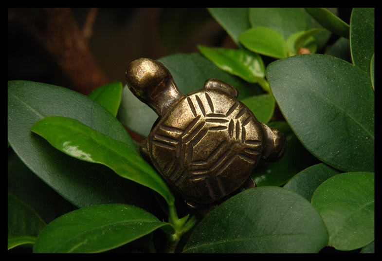 Pierścionek żółw