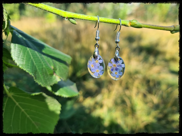 Kolczyki z niezapominajkami