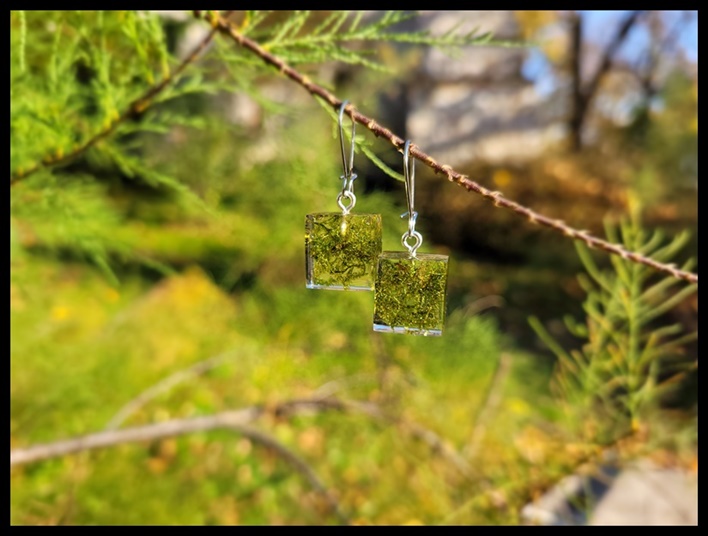 Kolczyki kostki z mchem