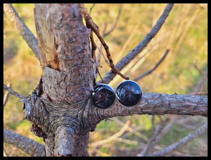 Kolczyki wkrętki z dmuchawcem