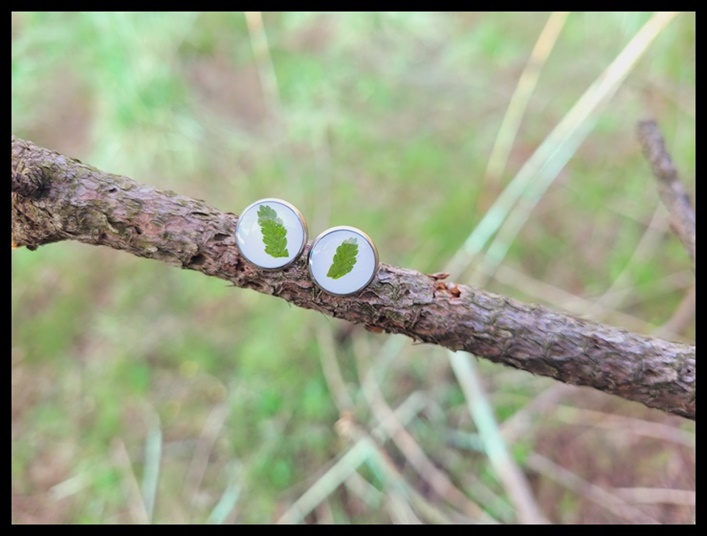 Kolczyki wkrętki z paprotką