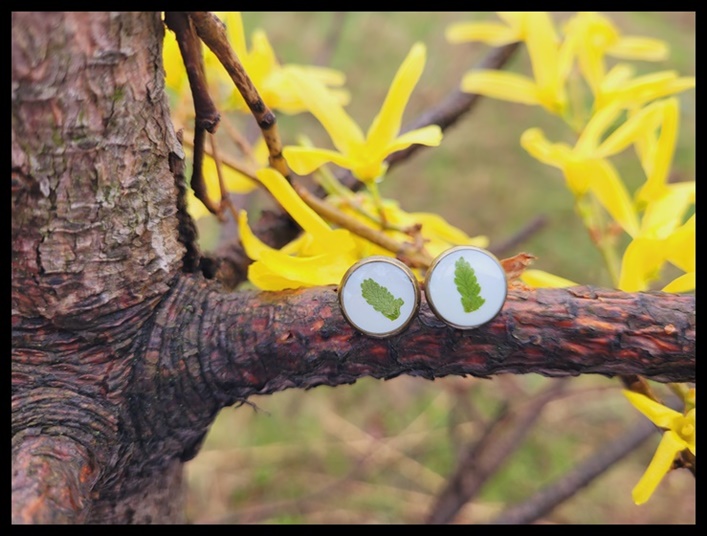 Kolczyki wkrętki z paprocią