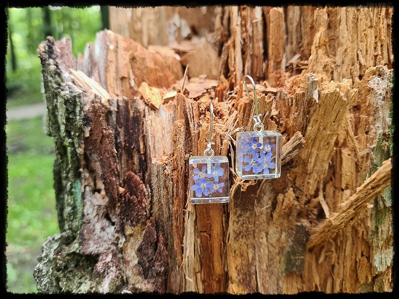 Kolczyki kostki z niezapominajkami