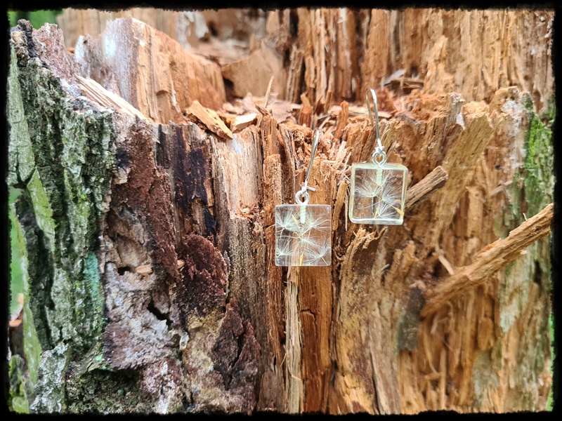 Kolczyki kostki z dmuchawcem