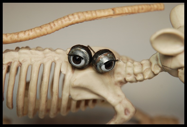 Kolczyki wkrętki oczy