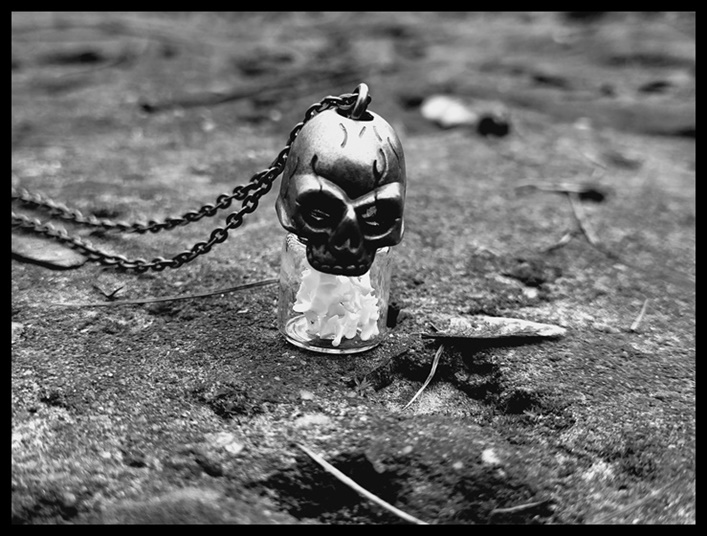 Wisior czaszka z kośćmi