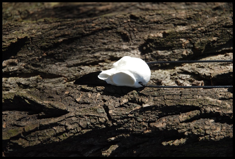 Wisior czaszka ptasia