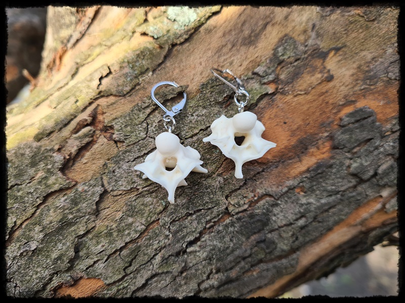 Kolczyki z kręgów węża