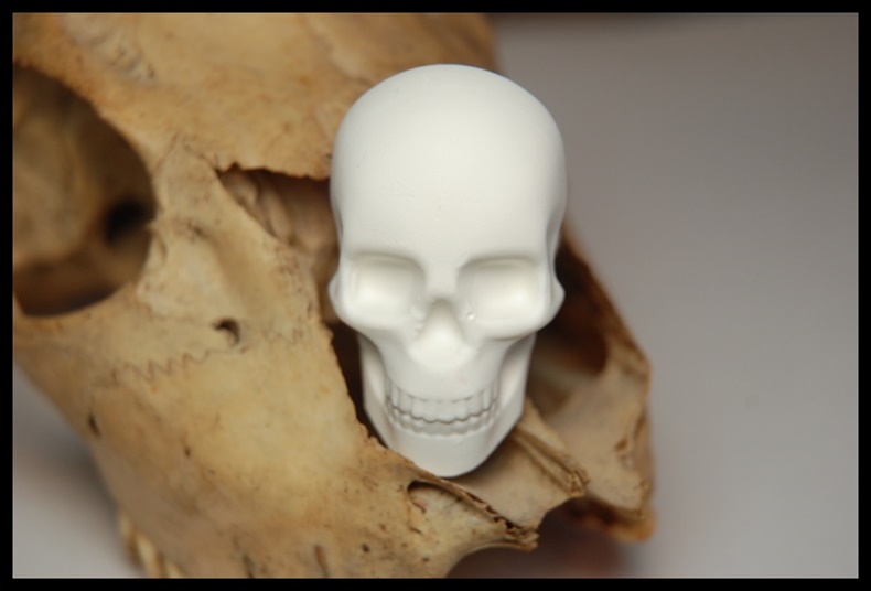 Pierścionek czaszka