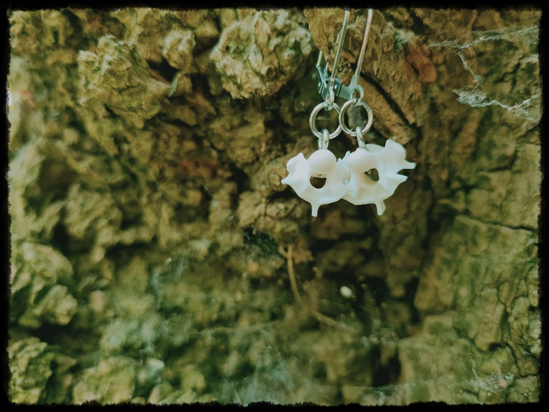 Kolczyki z kręgów węża