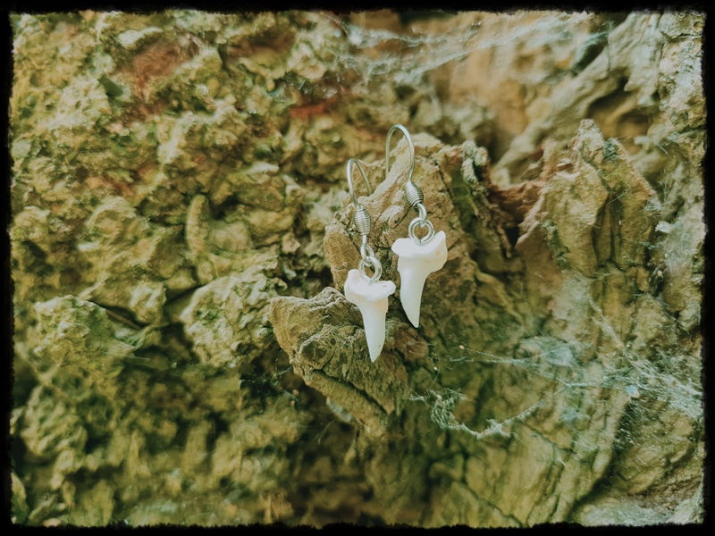 Kolczyki z kostek lisa