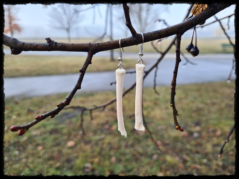 Kolczyki z kostek lisa