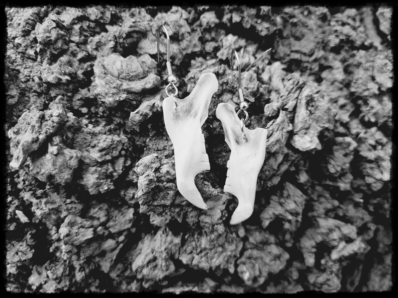 Kolczyki z żuchwy szynszyli