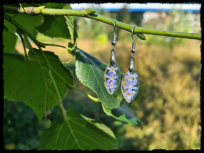 Kolczyki łezki z niezapominajkami