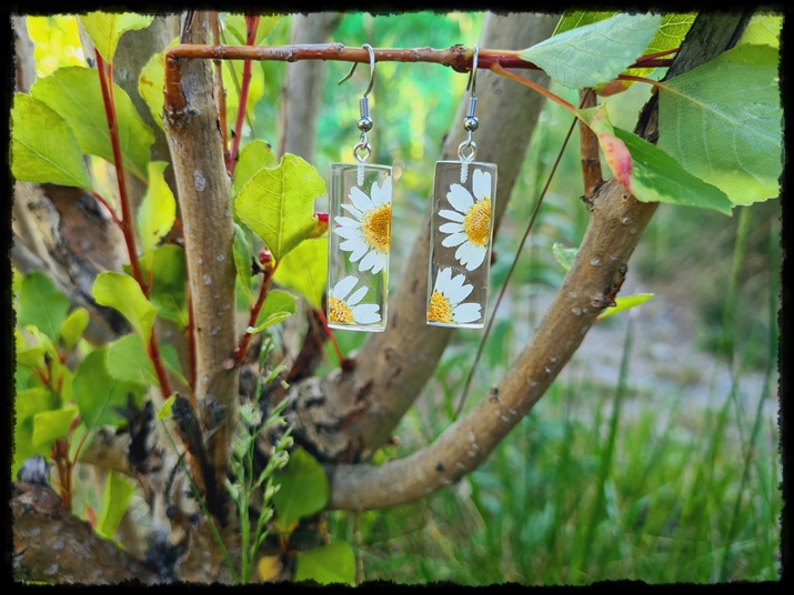 Kolczyki z margaretką