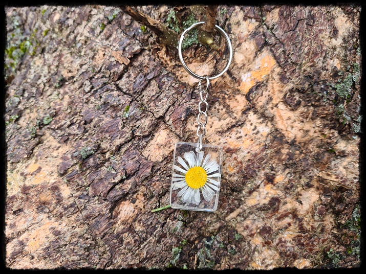 Brelok ze stokrotką