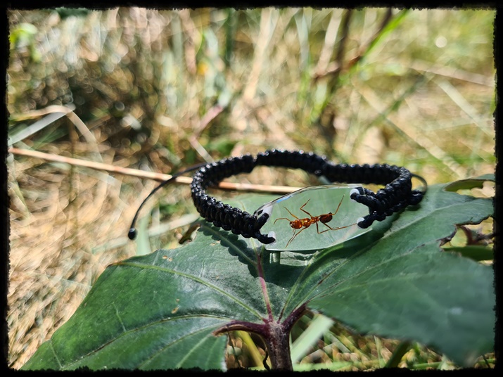 Bransoletka z mrówką