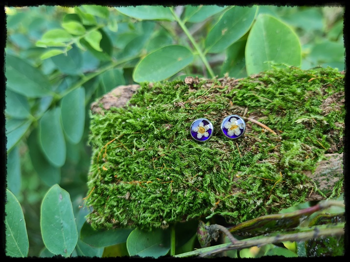 Kolczyki wkrętki z tawułą