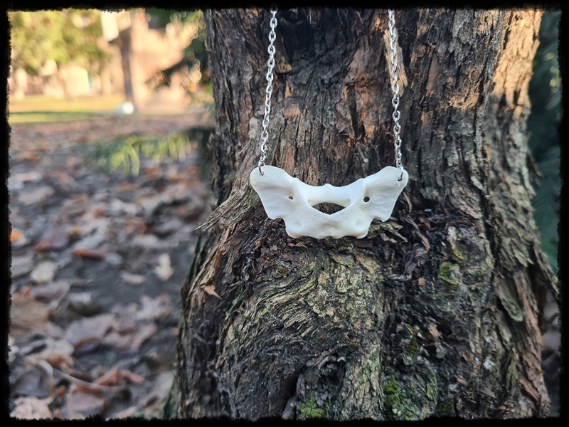 Naszyjnik z kości lisa