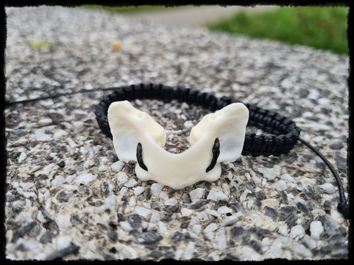 Bransoletka z kręgiem lisa