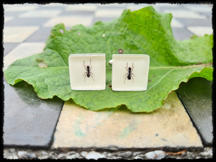 Spinki do mankietów z mrówkami