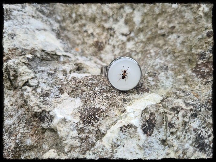 Pierścionek z mrówką