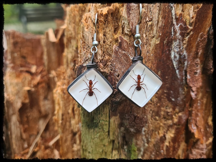 Kolczyki z mrówkami