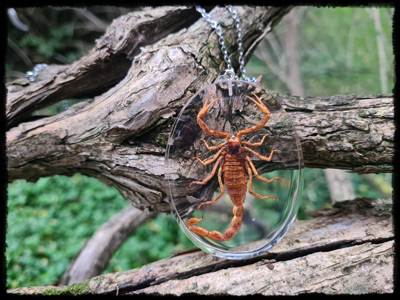 Wisior ze skorpionem