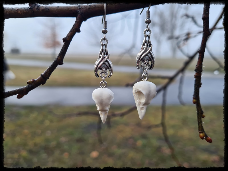 Kolczyki ptasie czaszki z nietoperzami