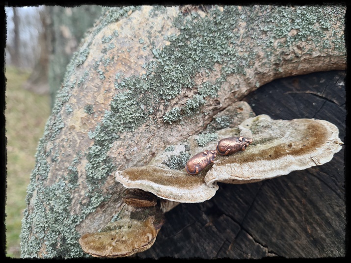 Kolczyki wkrętki myszki miedziane