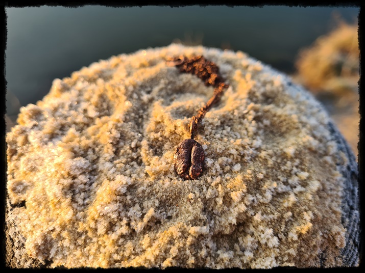 Wisior miedziane ziarenko kawy