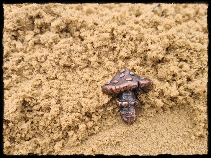 Broszka grzyb miedziany