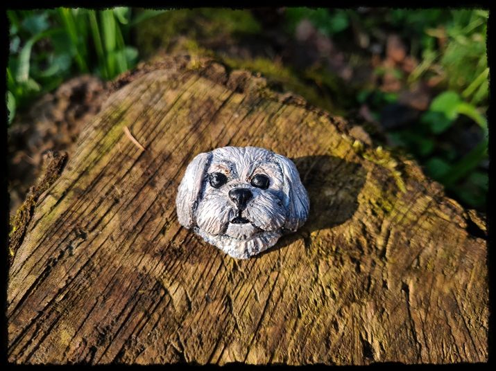 Broszka pies maltańczyk