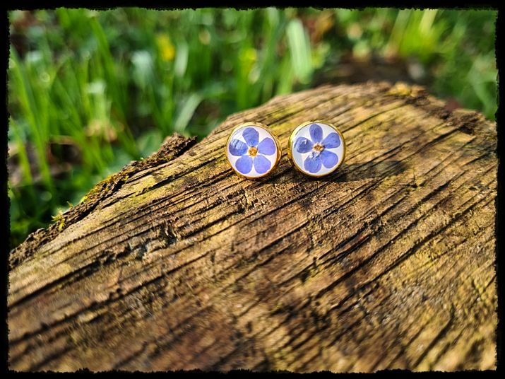 Kolczyki wkrętki z niezapominajkami