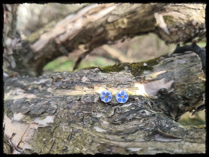 Kolczyki wkrętki z niezapominajką