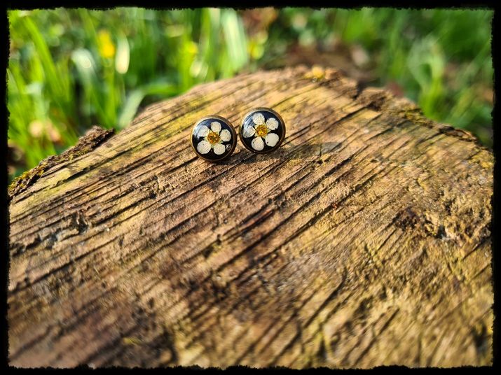 Kolczyki wkrętki z tawułą