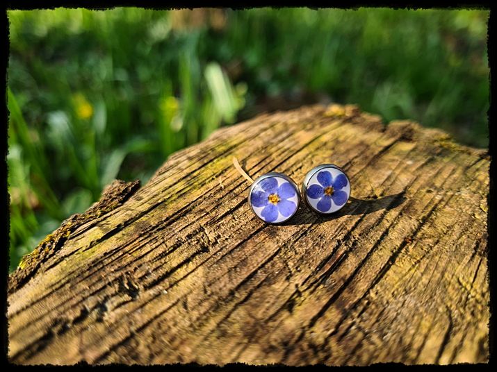 Kolczyki wkrętki z niezapominajką