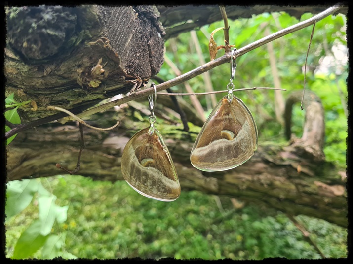 Kolczyki skrzydła motyla
