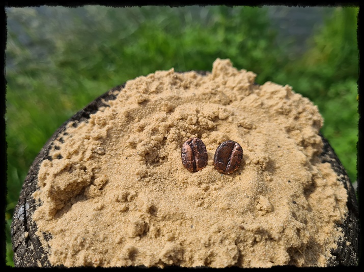 Kolczyki miedziane ziarenka kawy