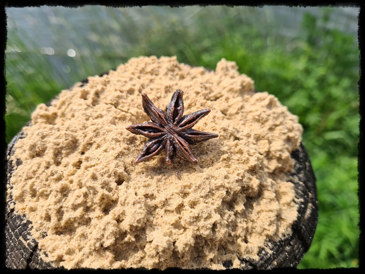 Pierścionek miedziany z anyżem