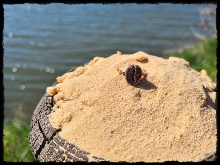 Pierścionek miedziane ziarno kawy