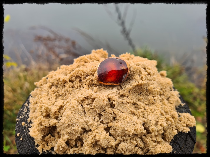 Pierścionek miedziany z bursztynem