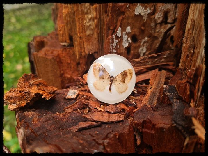 Pierścionek z motylem