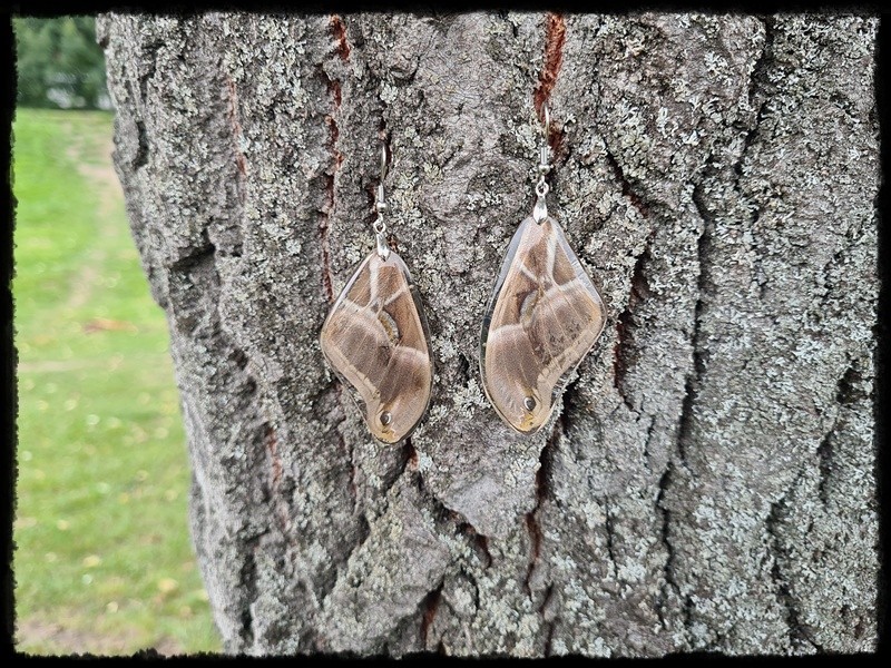 Kolczyki skrzydła motyla