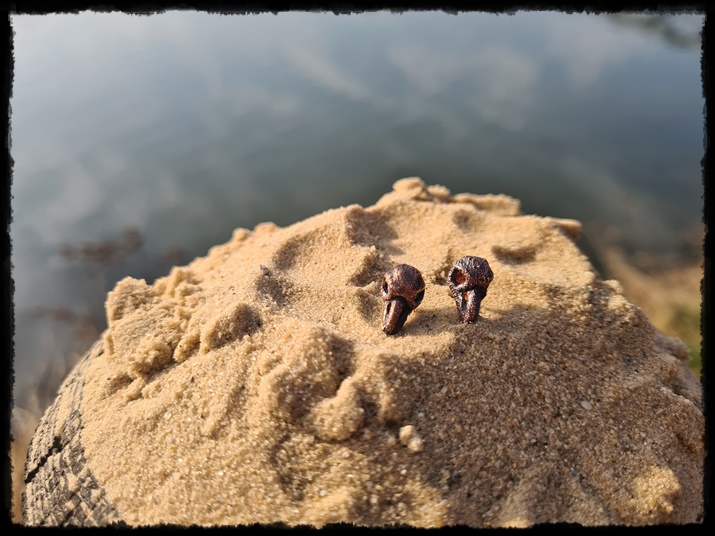 Kolczyki czaszki ptasie miedziane